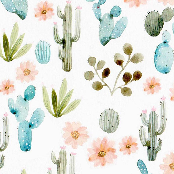 Wrapping Papers - The Cake Eating Company NZ